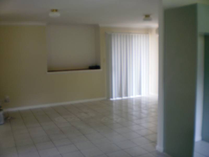 16 Zinnea Street, Elanora QLD 4221