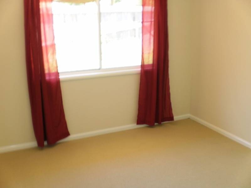 16 Zinnea Street, Elanora QLD 4221