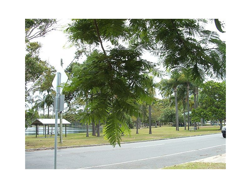 2/89 Laguna Avenue, Palm Beach QLD 4221