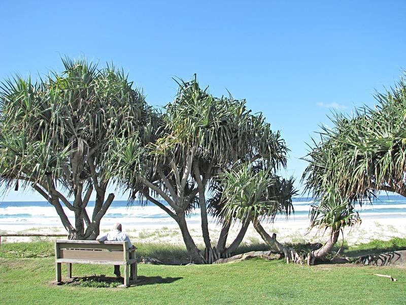 29 Jefferson Lane, Palm Beach QLD 4221