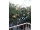 19/527 Gold Coast Highway, Tugun QLD 4224