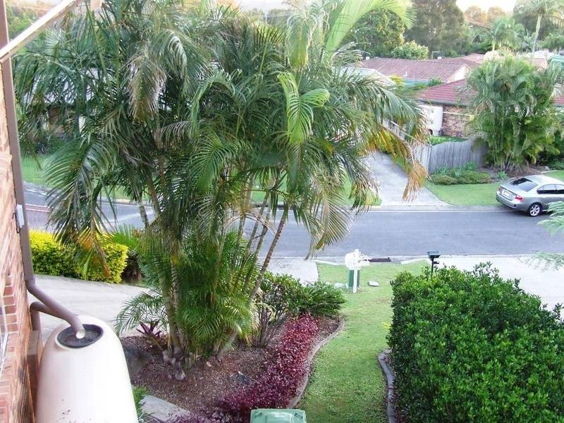26 Kalmia Court, Elanora QLD 4221