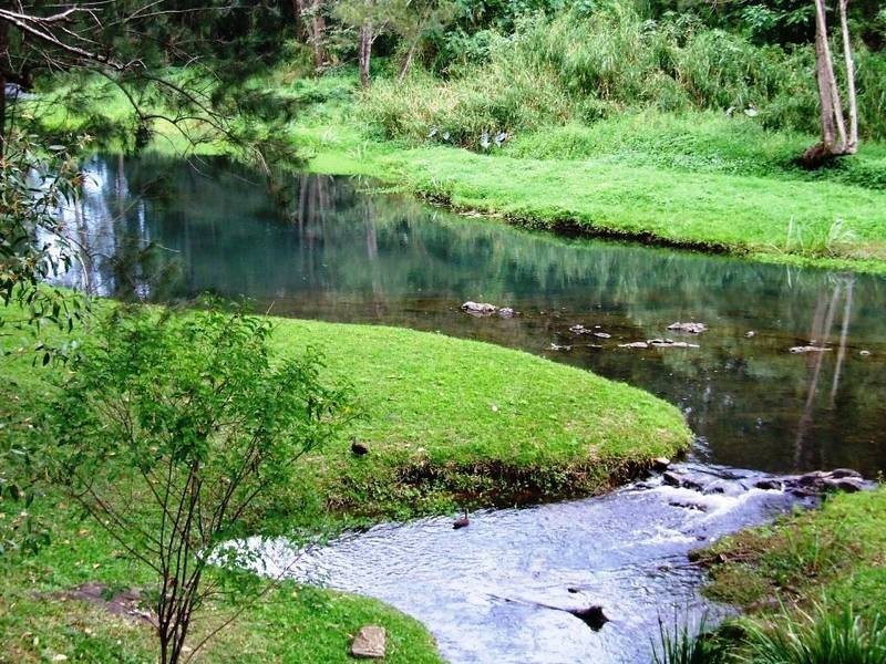 44 Coorabin Court, Tallebudgera QLD 4228