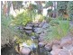 7/955 Gold Coast Highway, Palm Beach QLD 4221