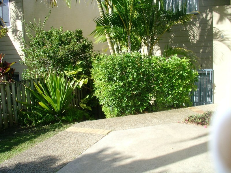68 Avocado Street, Elanora QLD 4221