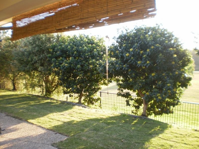 23 Tussock Crescent, Elanora QLD 4221