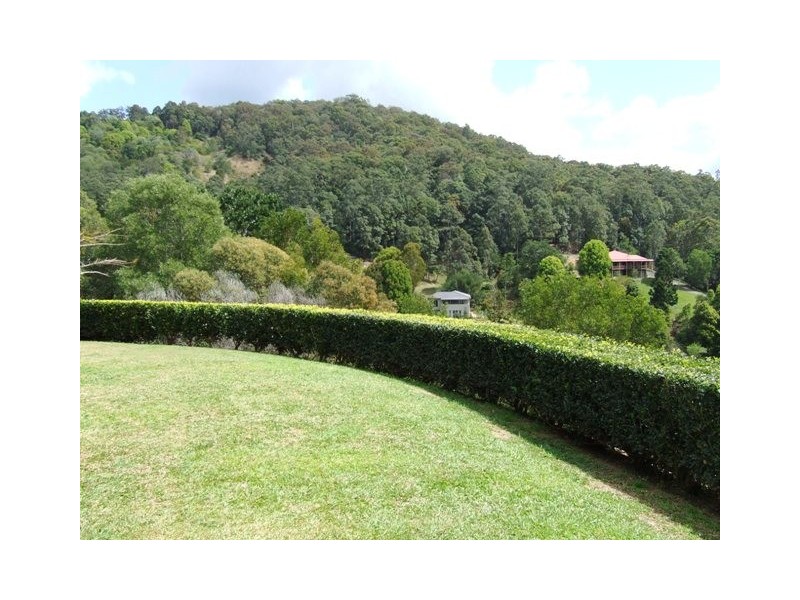 12 Des Quinlan Crescent, Tallebudgera QLD 4228