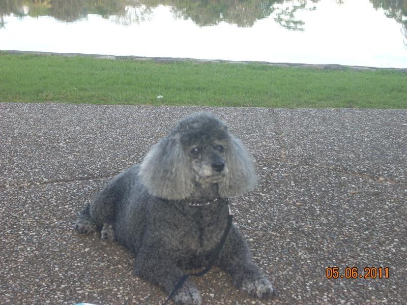 2/3 Eighth Avenue, Palm Beach QLD 4221