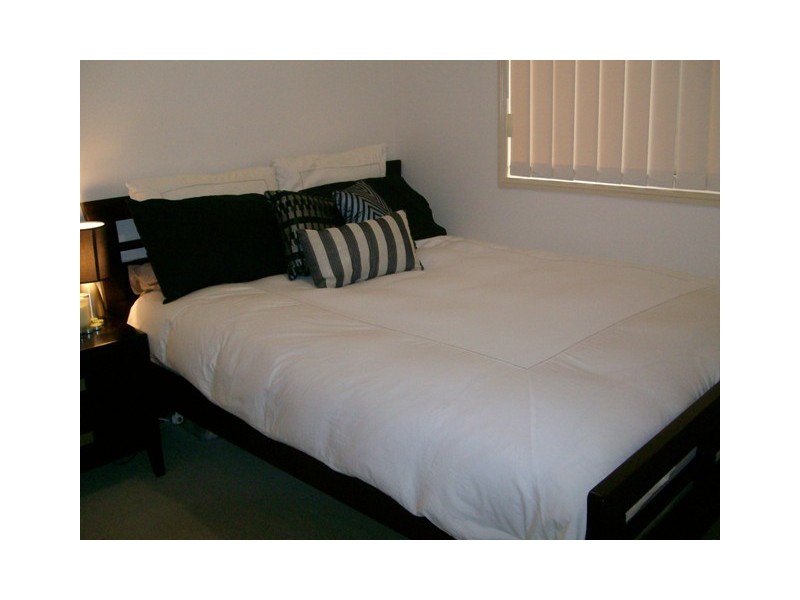 41 Hibertia Avenue, Elanora QLD 4221