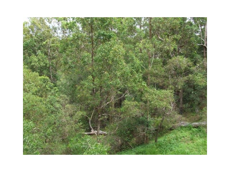 410 Trees Road, Tallebudgera QLD 4228