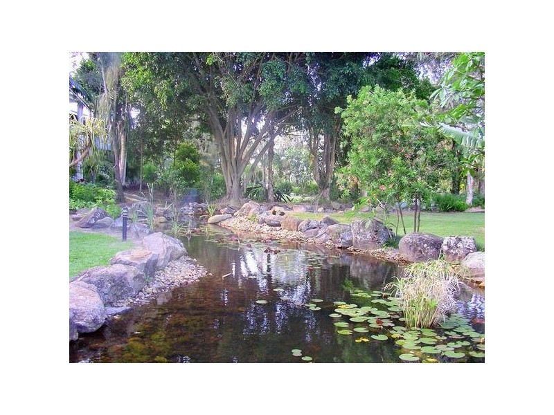 Currumbin Waters QLD 4223