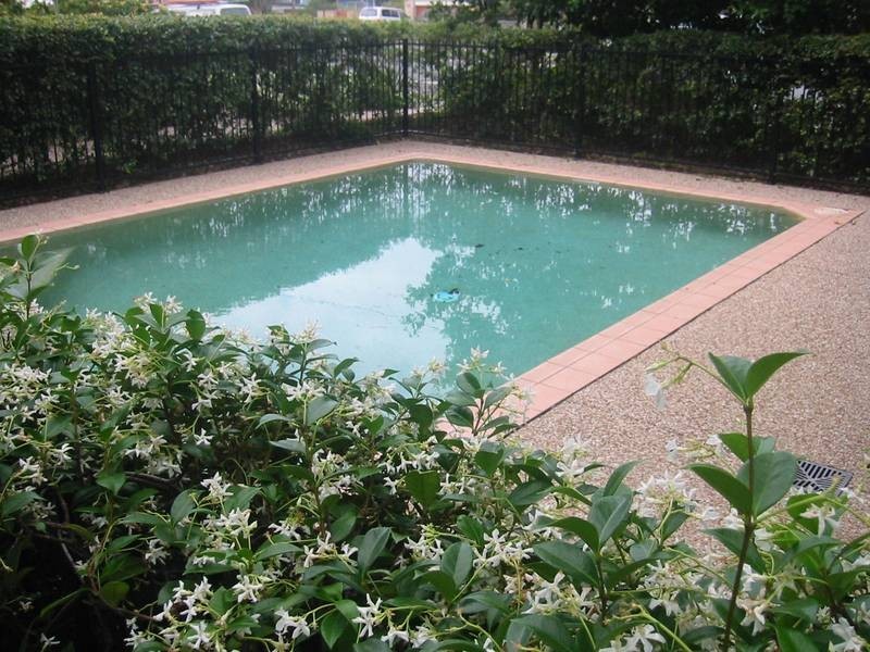 8/1266 Gold Coast Highway (between 13th ave & 14th ave), Palm Beach QLD 4221