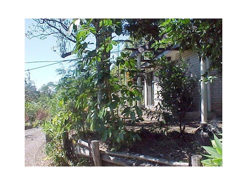 1481 Currumbin Creek Road (Top House), Currumbin Valley QLD 4223