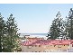 14/450 The Esplanade, Palm Beach QLD 4221