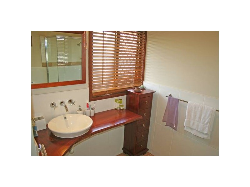 Chestnut, Elanora QLD 4221