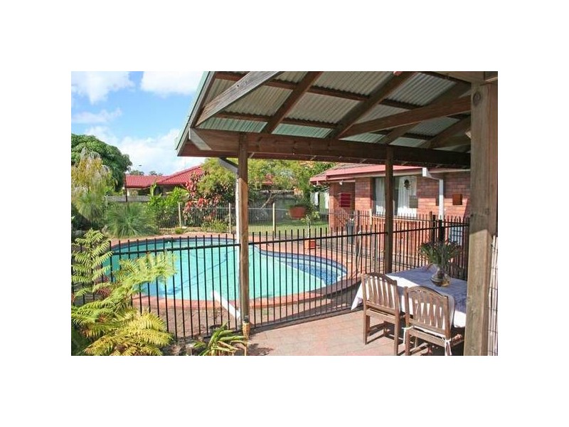 Chestnut, Elanora QLD 4221
