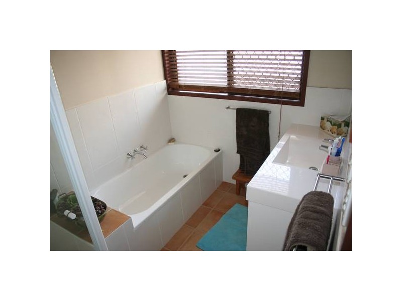 Chestnut, Elanora QLD 4221