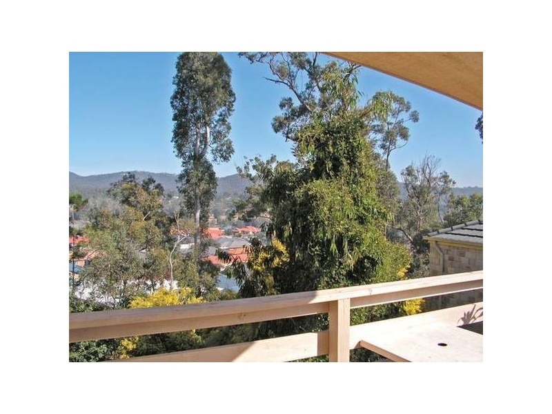 41 Hibertia Avenue, Elanora QLD 4221