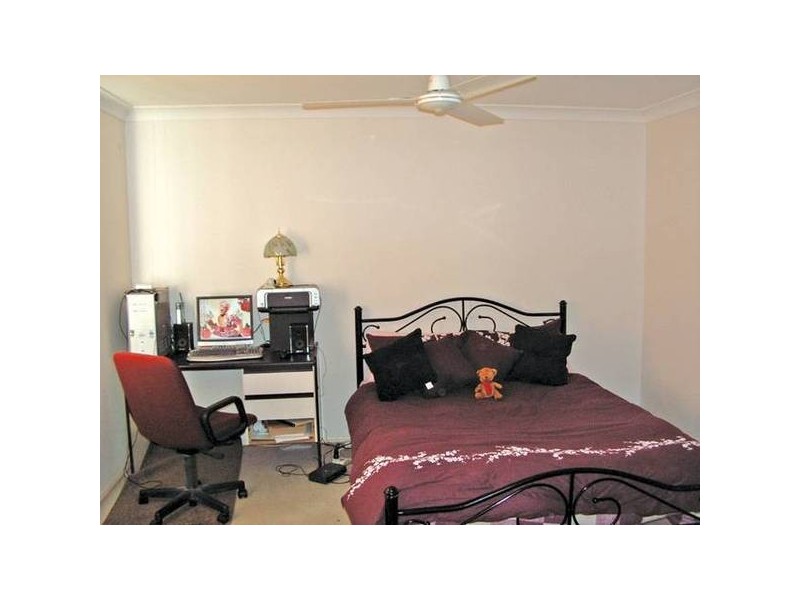 41 Hibertia Avenue, Elanora QLD 4221