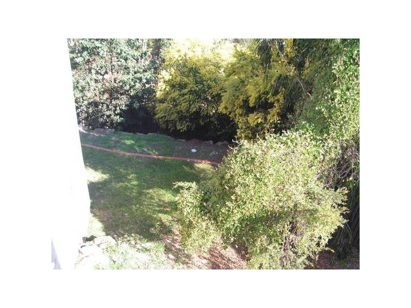 41 Hibertia Avenue, Elanora QLD 4221