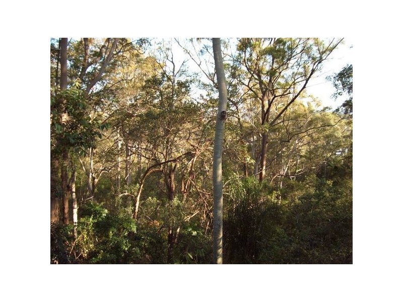 3 Kabool, Burleigh Heads QLD 4220
