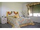 14 Satinwood Place, Palm Beach QLD 4221