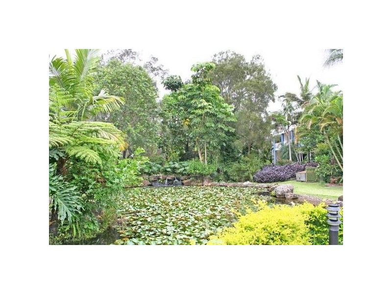 54/56 Guineas Creek Road, Currumbin Waters QLD 4223