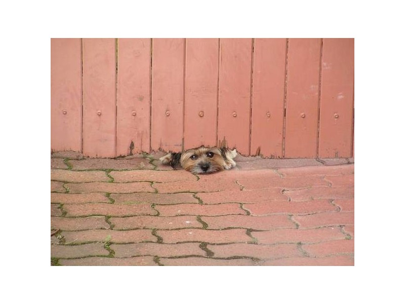 1/10 Redleaf Court, Burleigh Waters QLD 4220