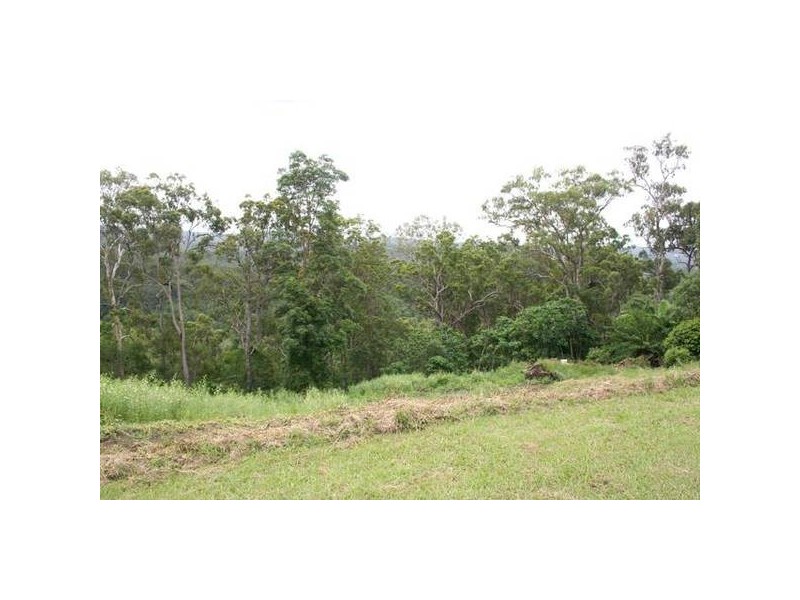 Tallebudgera QLD 4228