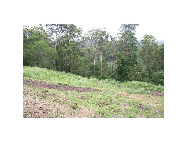 Tallebudgera QLD 4228