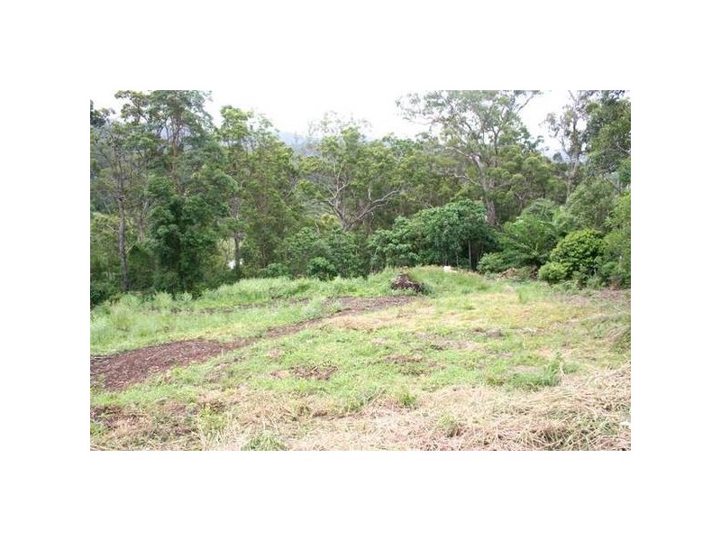 Tallebudgera QLD 4228