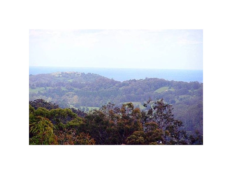 489 Trees Road, Tallebudgera Valley QLD 4228