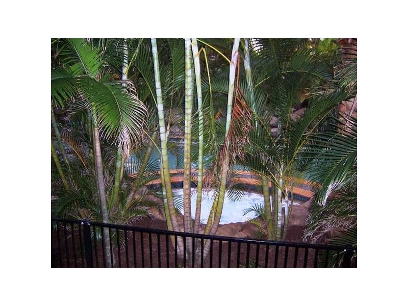 7/955 Gold Coast Highway, Palm Beach QLD 4221