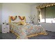 14 Satinwood Place, Palm Beach QLD 4221
