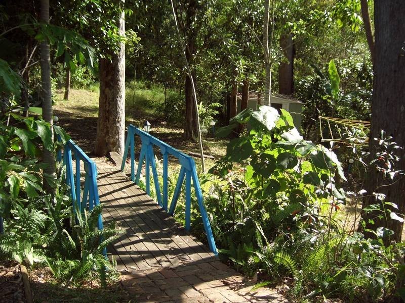 34 Jedda Street, Tallebudgera QLD 4228