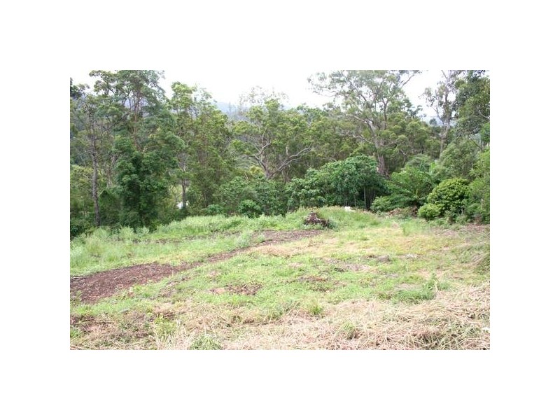 10 Trees Road, Tallebudgera QLD 4228