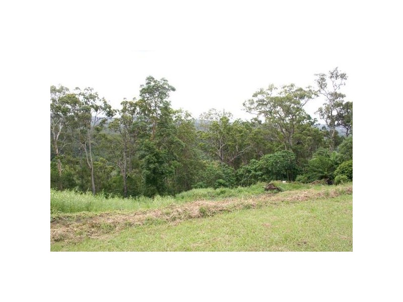 10 Trees Road, Tallebudgera QLD 4228