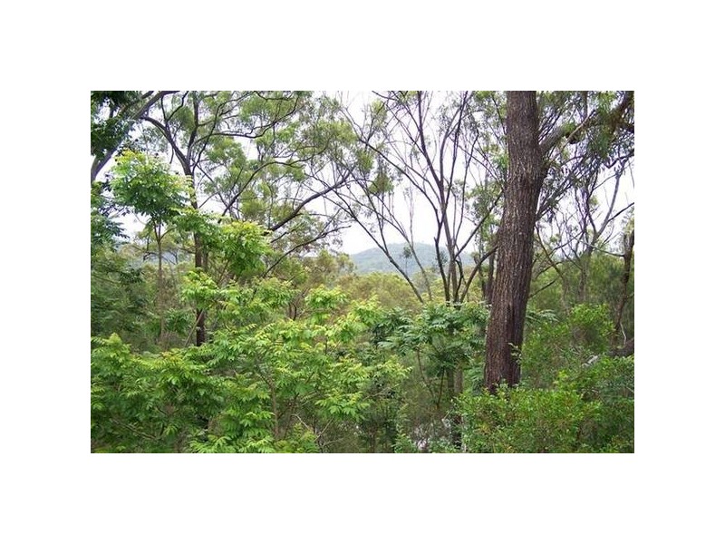 4 Karragata Court, Tallebudgera QLD 4228