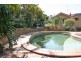 19 Myrtle Court, Palm Beach QLD 4221