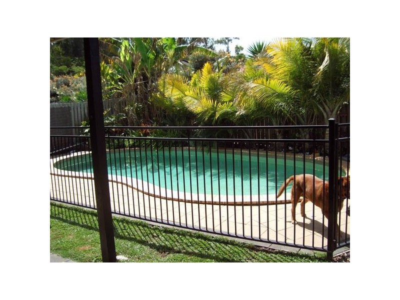 3 Pultenea Court, Elanora QLD 4221