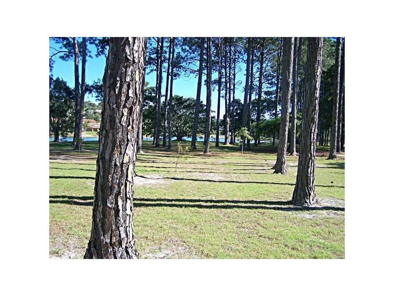 19 Pinon Close, Elanora QLD 4221