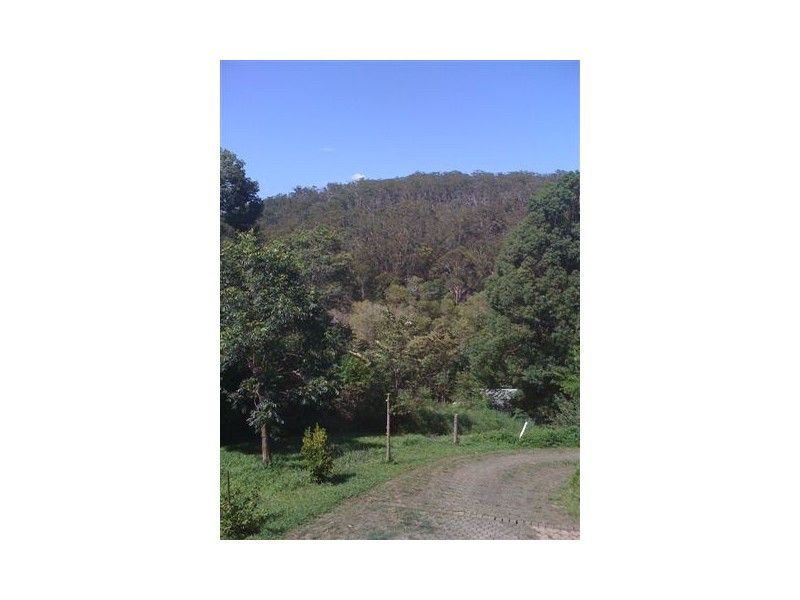 258 Piggabeen Road, Currumbin Valley QLD 4223