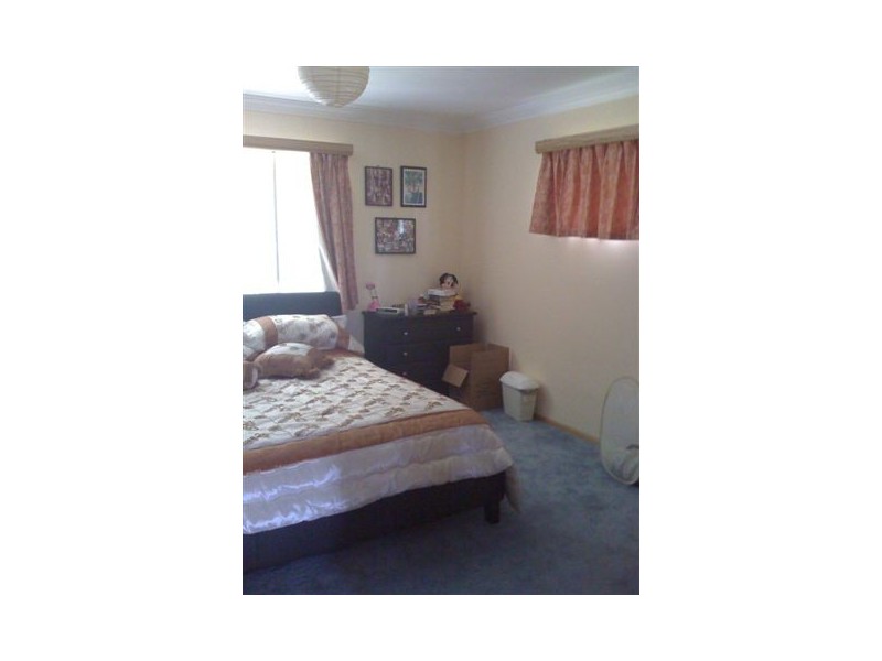 258 Piggabeen Road, Currumbin Valley QLD 4223