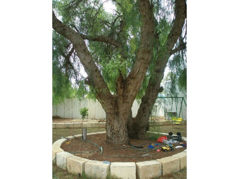 10 Foreman Street, Northam WA 6401