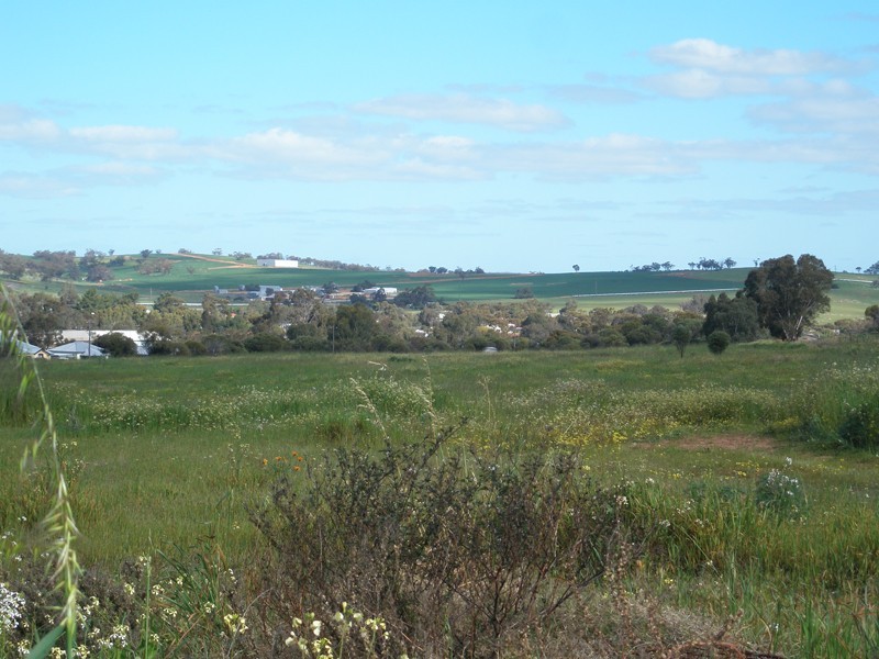 14 Tamplin Street, Northam WA 6401