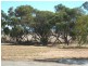 Lot 31,  Milhinch Street, Muluckine WA 6401