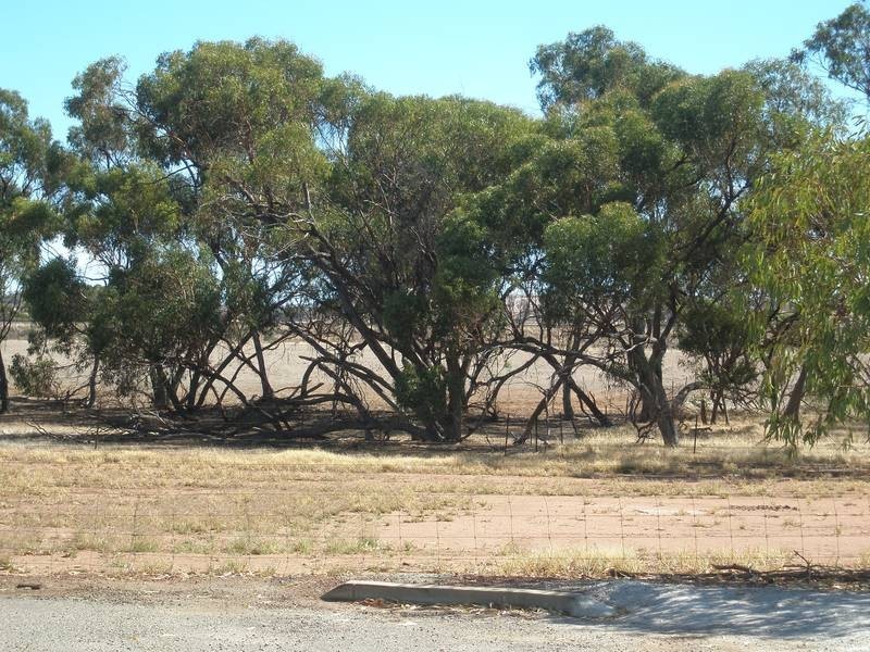 Lot 31,  Milhinch Street, Muluckine WA 6401