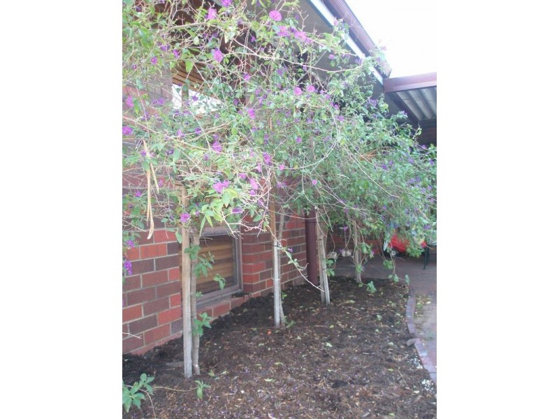 8 Gibbings Street, Northam WA 6401