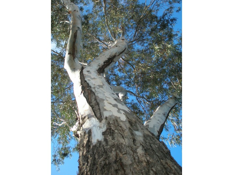 45 Charles Street, Northam WA 6401