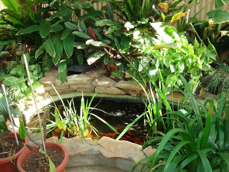 13 Perina Way, Northam WA 6401